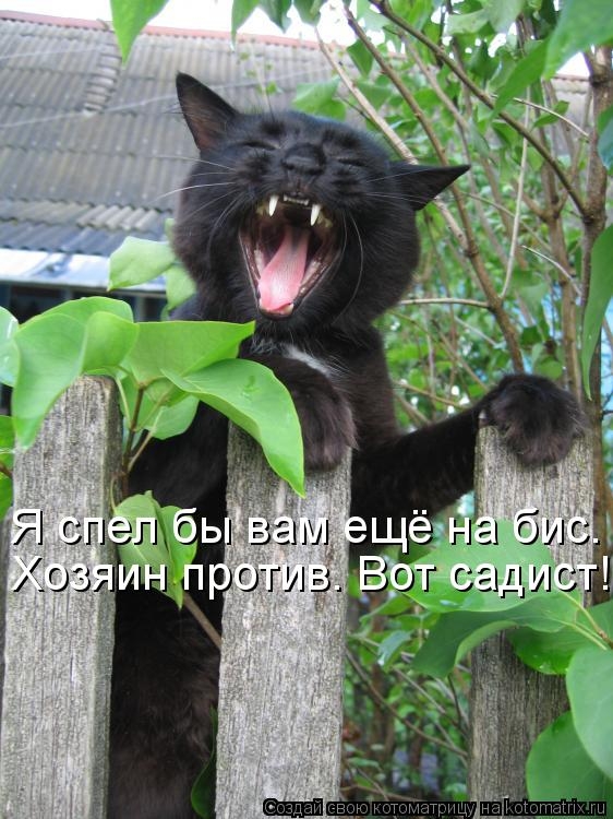81d67d3a2c