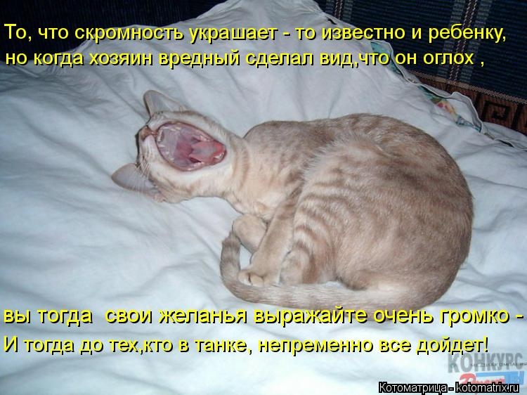 81f6f47fe9