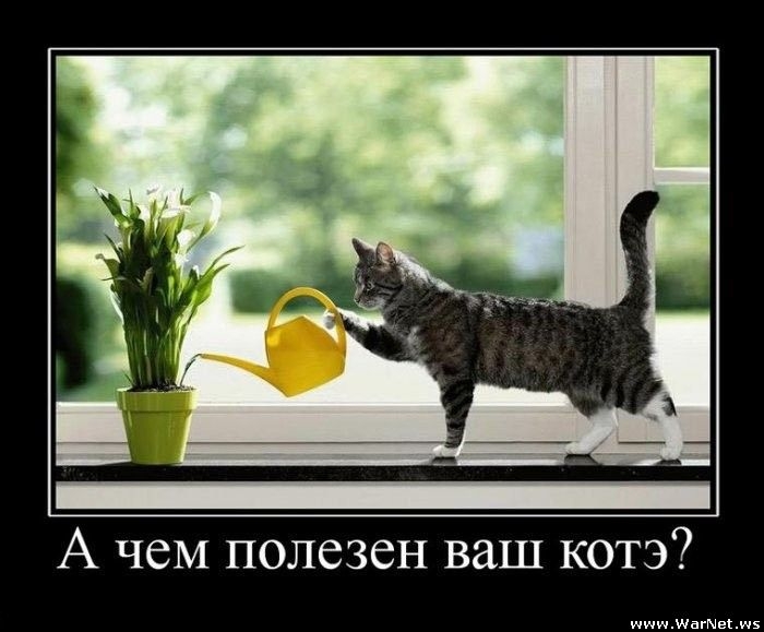 876нне.jp