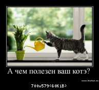 876нне.jp