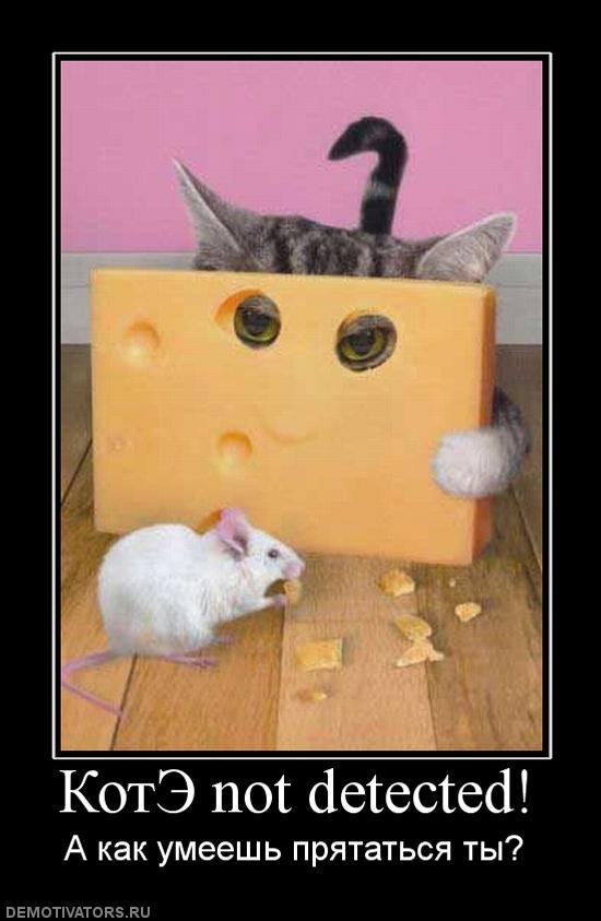 53268 kote-not-detected