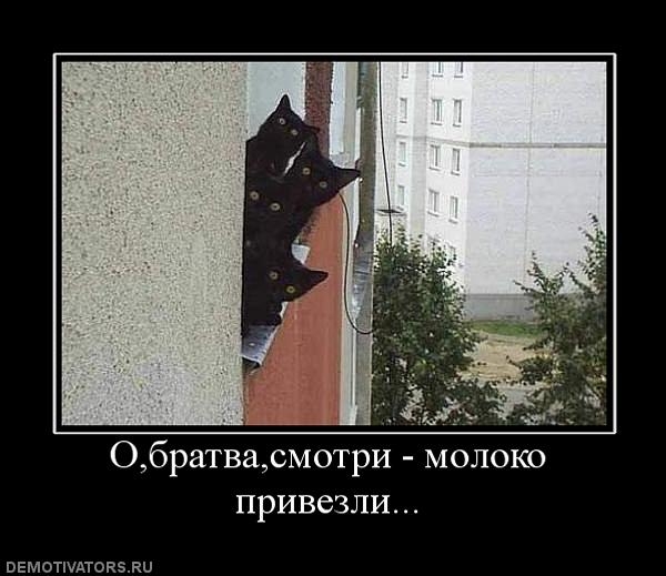 126319 obratvasmotri-moloko-privezli