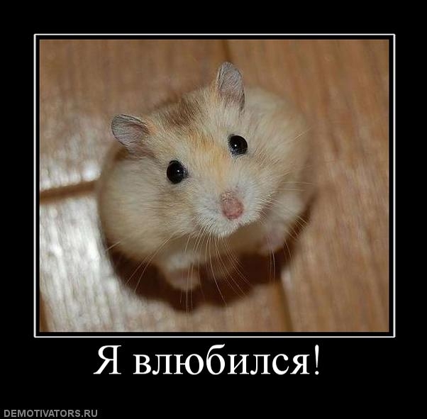 324956 ya-vlyubilsya