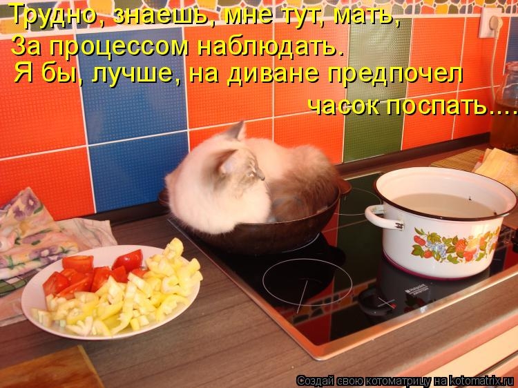 533411