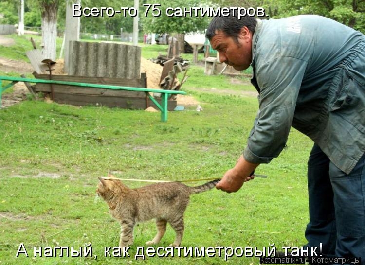 733760
