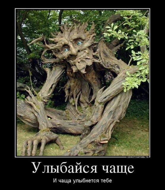 s3img 146634562 12010 1