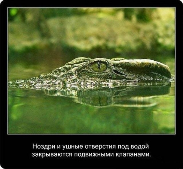 s3img 190022605 4960 1