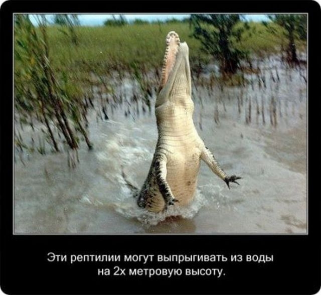 жизнь