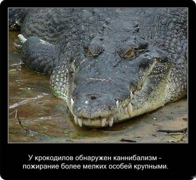 жизнь