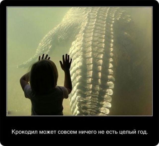 жизнь