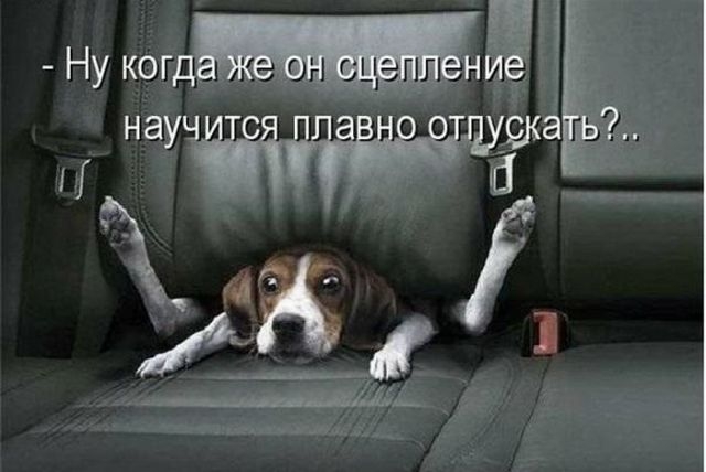 ежедневник наблюдателя