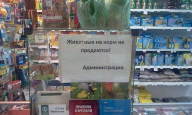 ежедневник наблюдателя