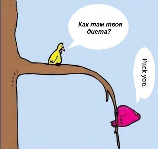 ежедневник наблюдателя