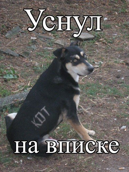 ежедневник наблюдателя