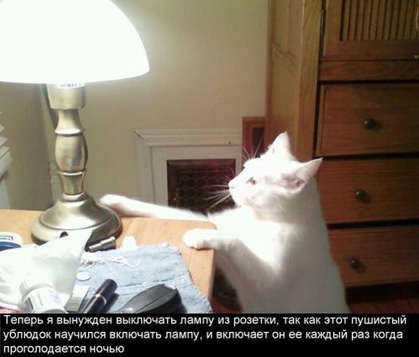 ежедневник наблюдателя