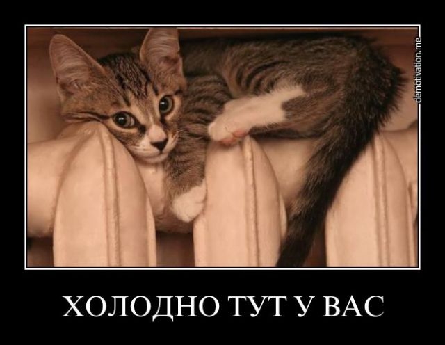 ежедневник наблюдателя