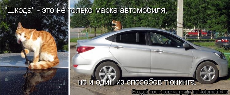 954630
