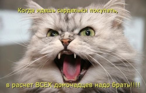 ежедневник наблюдателя
