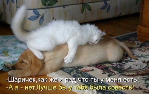 ежедневник наблюдателя