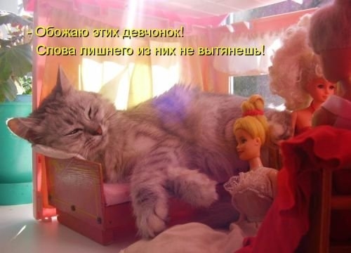 ежедневник наблюдателя