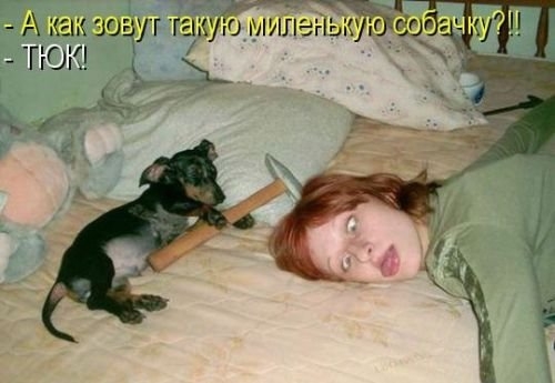 ежедневник наблюдателя