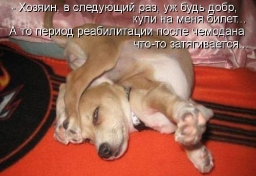 ежедневник наблюдателя