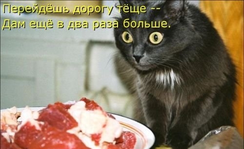 ежедневник наблюдателя