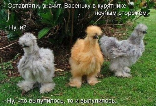ежедневник наблюдателя