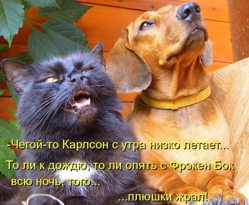 ежедневник наблюдателя