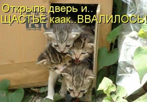 ежедневник наблюдателя