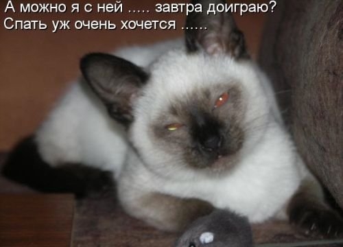 ежедневник наблюдателя