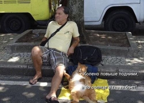 ежедневник наблюдателя