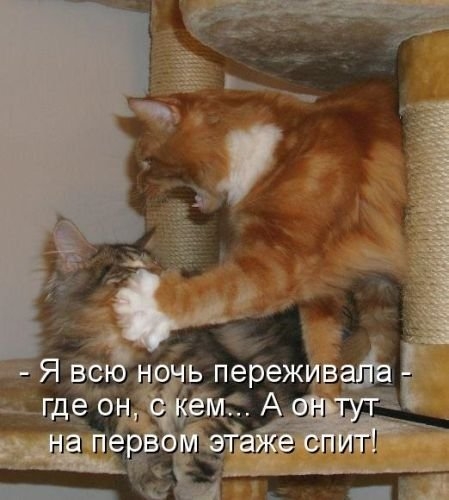 ежедневник наблюдателя