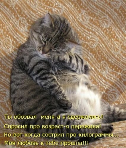ежедневник наблюдателя