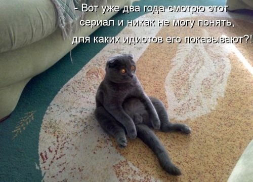ежедневник наблюдателя