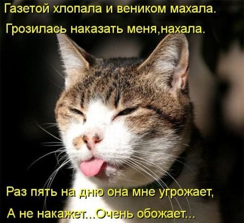 ежедневник наблюдателя