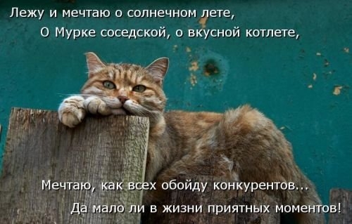 ежедневник наблюдателя