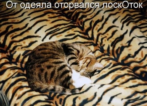 ежедневник наблюдателя