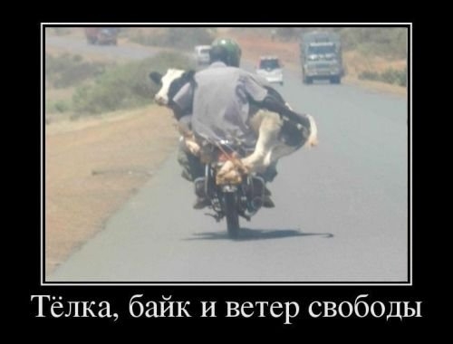ежедневник наблюдателя