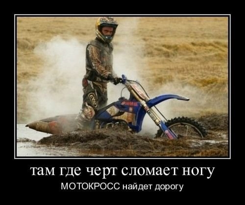 ежедневник наблюдателя