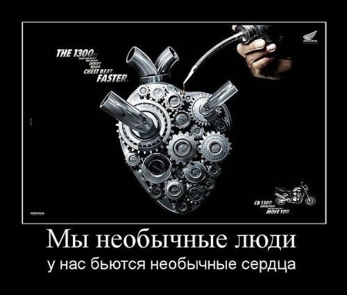 ежедневник наблюдателя