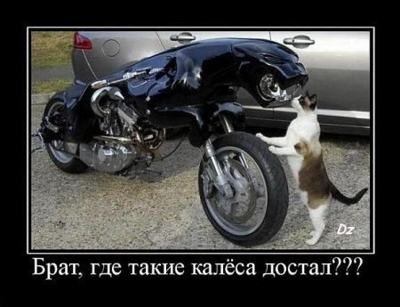 ежедневник наблюдателя