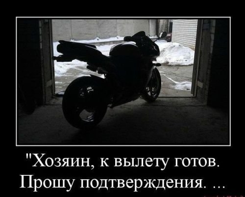 ежедневник наблюдателя