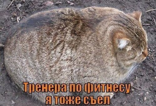 ежедневник наблюдателя