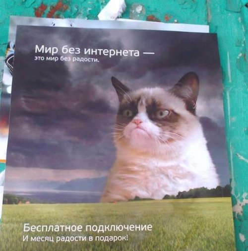 ежедневник наблюдателя
