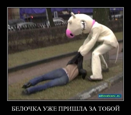 Белочка пришла.jpg