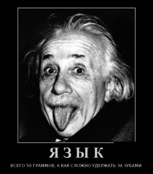 ежедневник наблюдателя