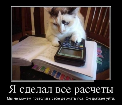 ежедневник наблюдателя