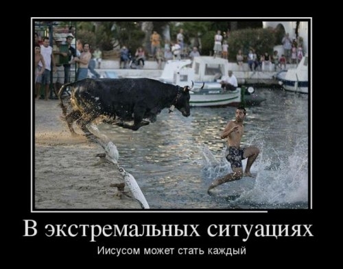 ежедневник наблюдателя