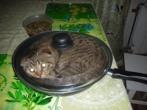 ежедневник наблюдателя